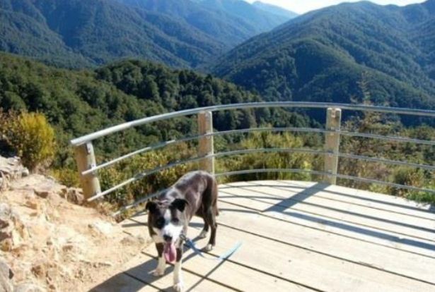 Rocky Lookout – Tararua Ranges